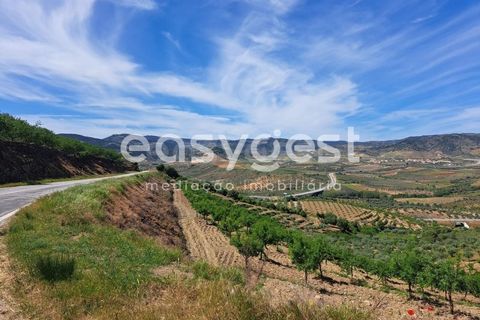 Villa a Adeganha e Cardanha, Braganca, Adeganha e Cardanha - € 30.000 | Ref: BG92275MG - foto 9