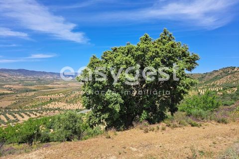 Villa a Adeganha e Cardanha, Braganca, Adeganha e Cardanha - € 30.000 | Ref: BG92275MG - foto 14