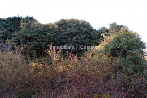 Landejendom i Piegaro, Perugia, Piegaro - € 75.000 | Ref: CR78 - foto 6