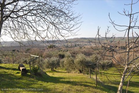Rækkehus i Paciano, Perugia, Paciano - € 55.000 | Ref: PO201 - foto 5
