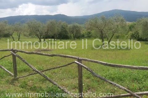 Terra a Panicale, Perugia, Panicale - € 40.000 | Ref: TE52 - foto 5