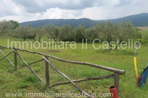 Terra a Panicale, Perugia, Panicale - € 40.000 | Ref: TE52 - foto 6