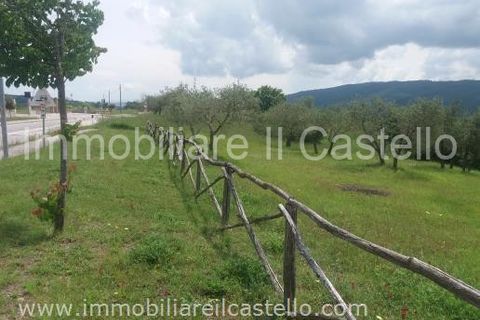 Terra a Panicale, Perugia, Panicale - € 40.000 | Ref: TE52 - foto 7