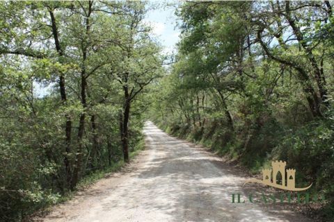 Appartement in Panicale, Perugia, Panicale - € 133.000 | Ref: AP478 - foto 16