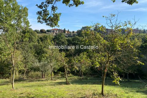 Terra a Paciano, Perugia, Paciano - € 35.000 | Ref: TE70 - foto 4