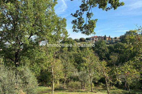 Terra a Paciano, Perugia, Paciano - € 35.000 | Ref: TE70 - foto 5
