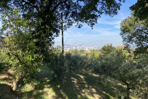 Terra a Paciano, Perugia, Paciano - € 35.000 | Ref: TE70 - foto 7
