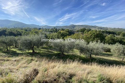 Terra a Paciano, Perugia, Paciano - € 35.000 | Ref: TE70 - foto 8