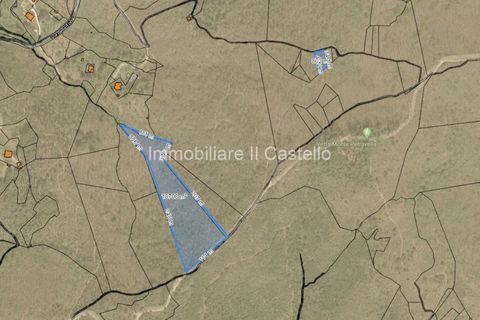 Terra a Paciano, Perugia, Paciano - € 35.000 | Ref: TE70 - foto 12