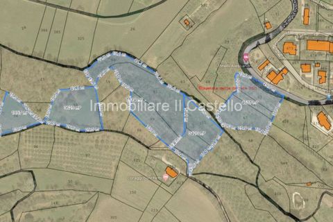 Terra a Paciano, Perugia, Paciano - € 35.000 | Ref: TE70 - foto 13