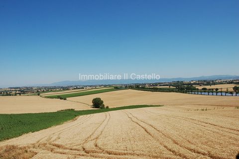 Tomt i Paciano, Perugia, Paciano - € 62 000 | Ref: TE76 - foto 5