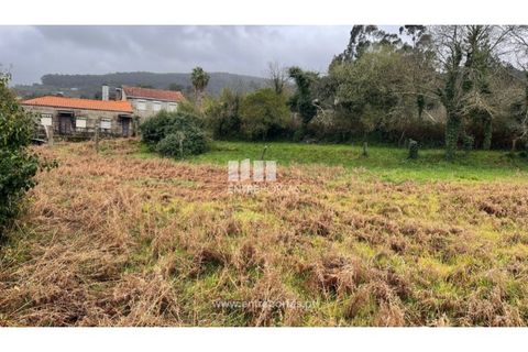 Villa i Viana do Castelo, Viana do Castelo, Viana do Castelo - € 174.000 | Ref: C02638 - foto 3