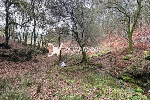 Landejendom i Moncao, Viana do Castelo, Moncao - € 500.000 | Ref: 1369 - foto 28