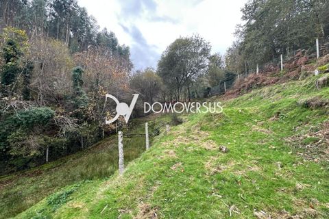 Landejendom i Moncao, Viana do Castelo, Moncao - € 500.000 | Ref: 1369 - foto 30