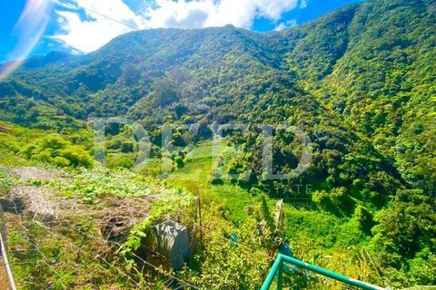 Helårsgrund i Machico, Madeira, Machico - € 51.500 | Ref: DEED/693 - foto 3