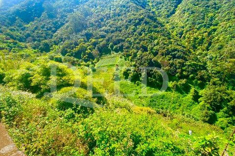 Helårsgrund i Machico, Madeira, Machico - € 51.500 | Ref: DEED/693 - foto 1