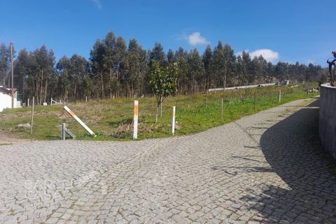 Terra a Freitas e Vila Cova, Braga, Freitas e Vila Cova - € 75.000 | Ref: 73/23 - foto 4
