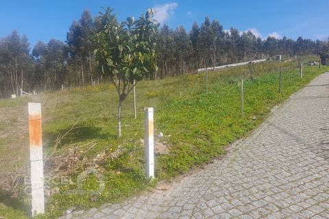 Terra a Freitas e Vila Cova, Braga, Freitas e Vila Cova - € 75.000 | Ref: 73/23 - foto 5
