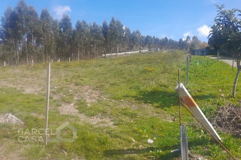 Terra a Freitas e Vila Cova, Braga, Freitas e Vila Cova - € 75.000 | Ref: 73/23 - foto 6