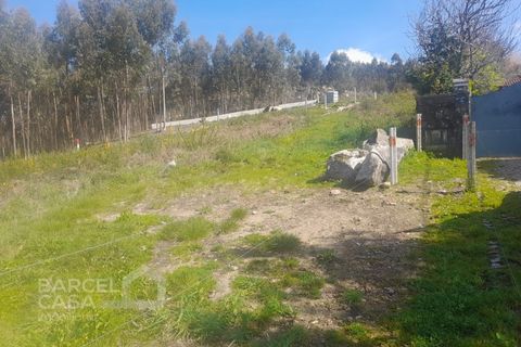 Terra a Freitas e Vila Cova, Braga, Freitas e Vila Cova - € 75.000 | Ref: 73/23 - foto 7