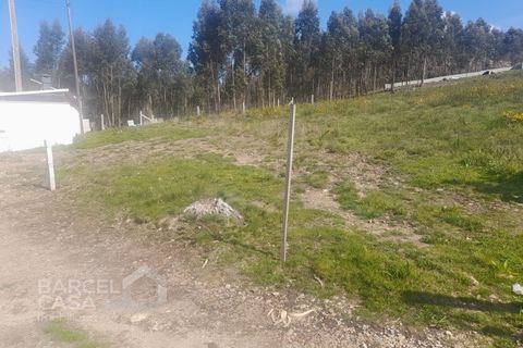 Terra a Freitas e Vila Cova, Braga, Freitas e Vila Cova - € 75.000 | Ref: 73/23 - foto 8