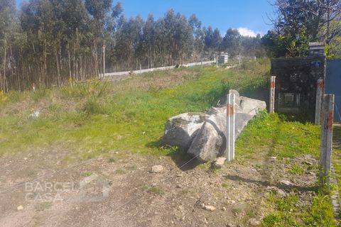 Terra a Freitas e Vila Cova, Braga, Freitas e Vila Cova - € 75.000 | Ref: 73/23 - foto 9
