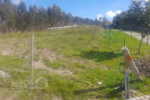 Terra a Freitas e Vila Cova, Braga, Freitas e Vila Cova - € 75.000 | Ref: 73/23 - foto 10