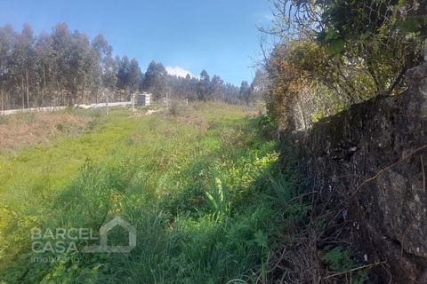 Terra a Freitas e Vila Cova, Braga, Freitas e Vila Cova - € 75.000 | Ref: 73/23 - foto 12