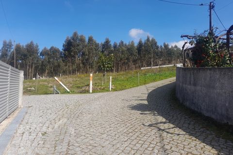 Terra a Freitas e Vila Cova, Braga, Freitas e Vila Cova - € 75.000 | Ref: 73/23 - foto 13