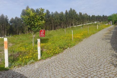 Terra a Freitas e Vila Cova, Braga, Freitas e Vila Cova - € 75.000 | Ref: 73/23 - foto 2