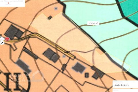 Terra a Freitas e Vila Cova, Braga, Freitas e Vila Cova - € 75.000 | Ref: 73/23 - foto 14
