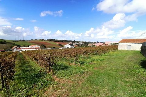 Helårsgrund i Carvalhal, Leiria, Carvalhal - € 130.000 | Ref: BL883 - foto 4