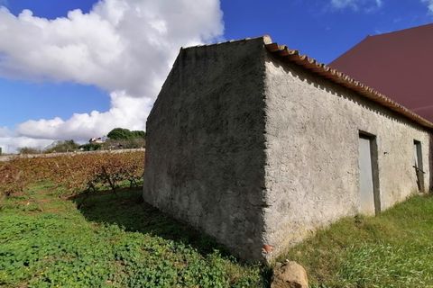 Helårsgrund i Carvalhal, Leiria, Carvalhal - € 130.000 | Ref: BL883 - foto 3