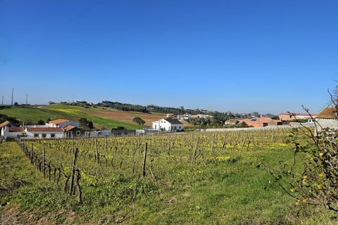 Helårsgrund i Carvalhal, Leiria, Carvalhal - € 130.000 | Ref: BL883 - foto 2
