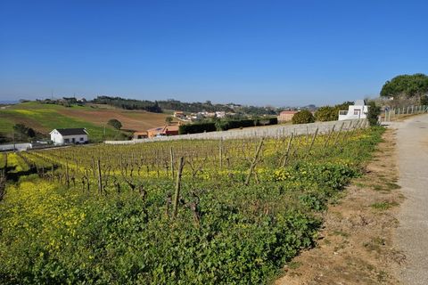 Helårsgrund i Carvalhal, Leiria, Carvalhal - € 130.000 | Ref: BL883 - foto 5