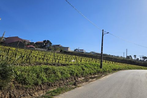Helårsgrund i Carvalhal, Leiria, Carvalhal - € 130.000 | Ref: BL883 - foto 6