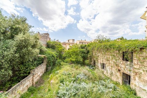 Villa a Inca, Mallorca, Inca - € 699.900 | Ref: 04LTAM1037/3010 - foto 9