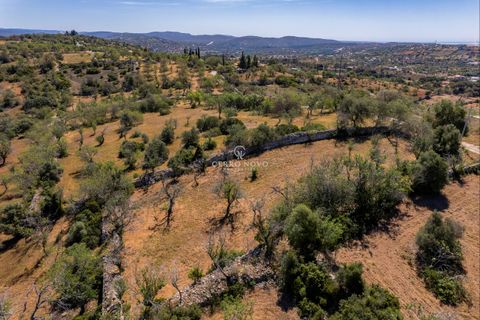 Helårsgrund i Albufeira, Faro, Albufeira - € 220.000 | Ref: CN10102 - foto 6