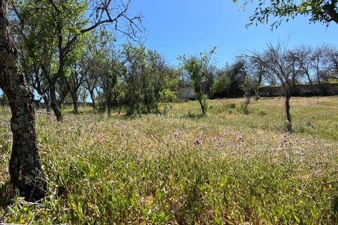 Helårsgrund i Albufeira, Faro, Albufeira - € 220.000 | Ref: CN10102 - foto 11