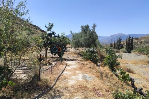 Masia a Lucar, Almeria, Lucar - € 65.000 | Ref: IX-13083 - foto 11