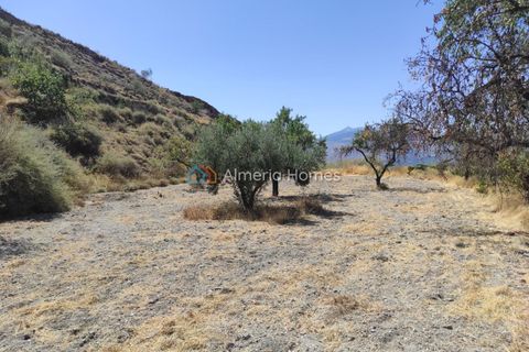 Masia a Lucar, Almeria, Lucar - € 65.000 | Ref: IX-13083 - foto 12