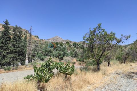 Masia a Lucar, Almeria, Lucar - € 65.000 | Ref: IX-13083 - foto 15