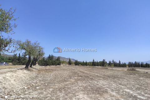 Landejendom i Lucar, Almeria, Lucar - € 56.000 | Ref: IX-12714 - foto 9