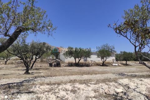 Landejendom i Lucar, Almeria, Lucar - € 56.000 | Ref: IX-12714 - foto 10