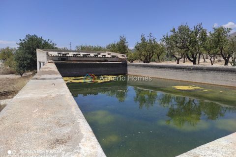 Landejendom i Lucar, Almeria, Lucar - € 56.000 | Ref: IX-12714 - foto 12