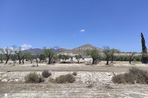 Landejendom i Lucar, Almeria, Lucar - € 56.000 | Ref: IX-12714 - foto 15