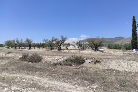 Landejendom i Lucar, Almeria, Lucar - € 56.000 | Ref: IX-12714 - foto 16
