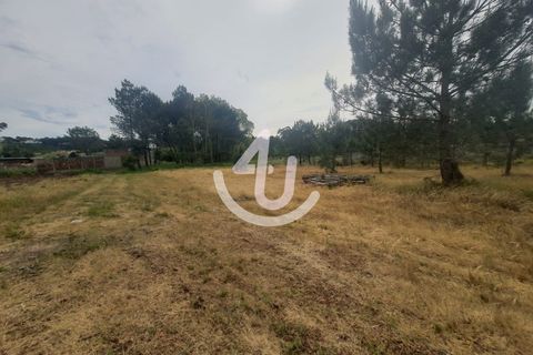 Helårsgrund i Nazare, Leiria, Nazare - € 68.000 | Ref: S4U120-V178 - foto 7