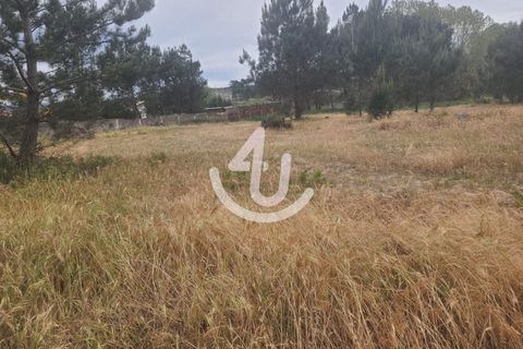 Helårsgrund i Nazare, Leiria, Nazare - € 68.000 | Ref: S4U120-V178 - foto 10