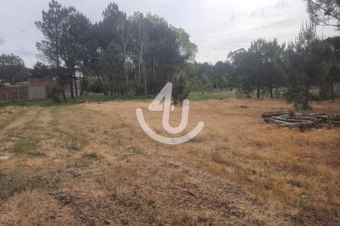 Helårsgrund i Nazare, Leiria, Nazare - € 68.000 | Ref: S4U120-V178 - foto 11